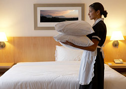 bedbugs control services